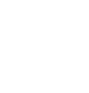MEDICES